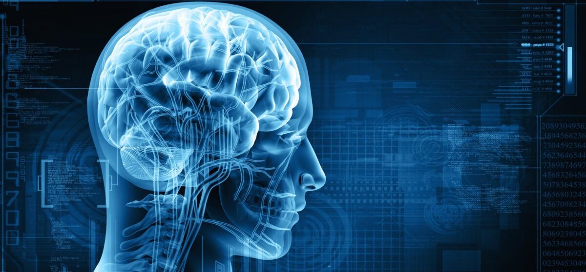poder de tu cerebro