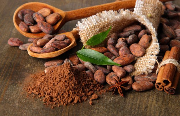 El legado del cacao