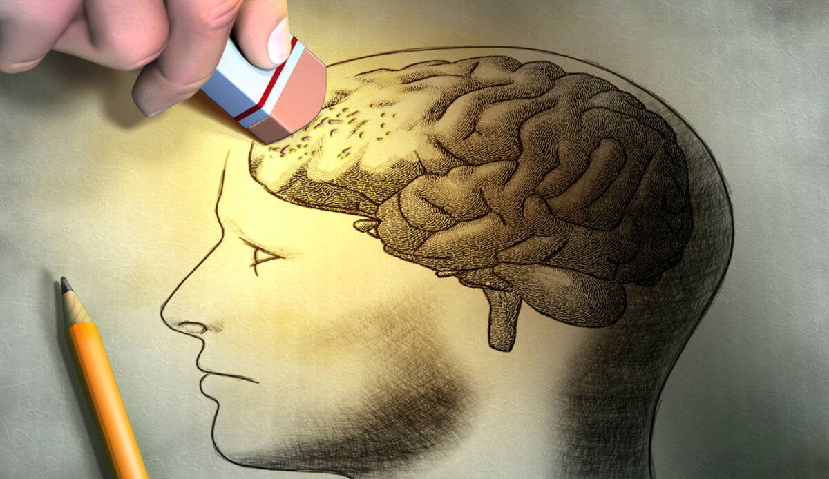 Envejecimiento del cerebro