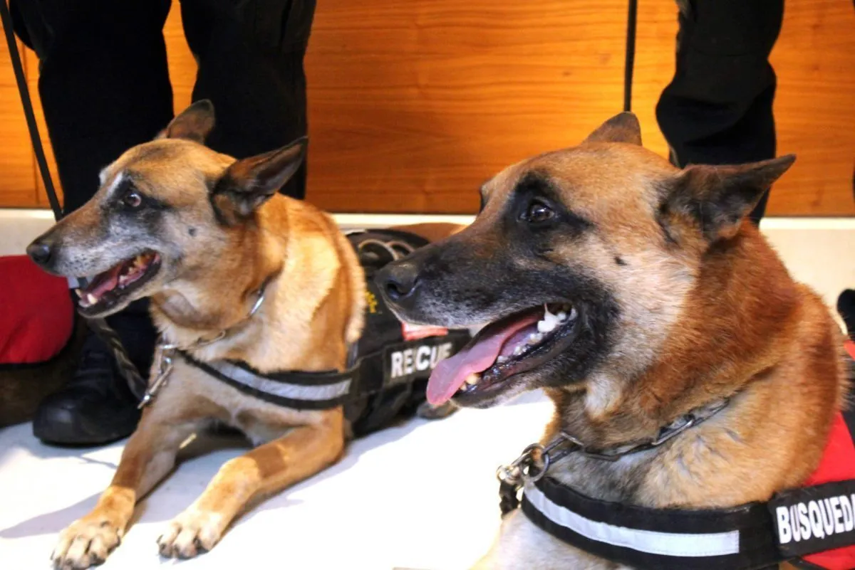 binomios caninos