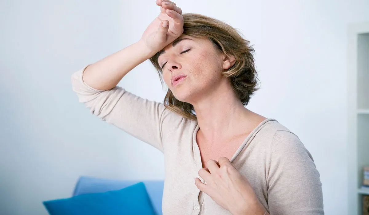 Menopausia