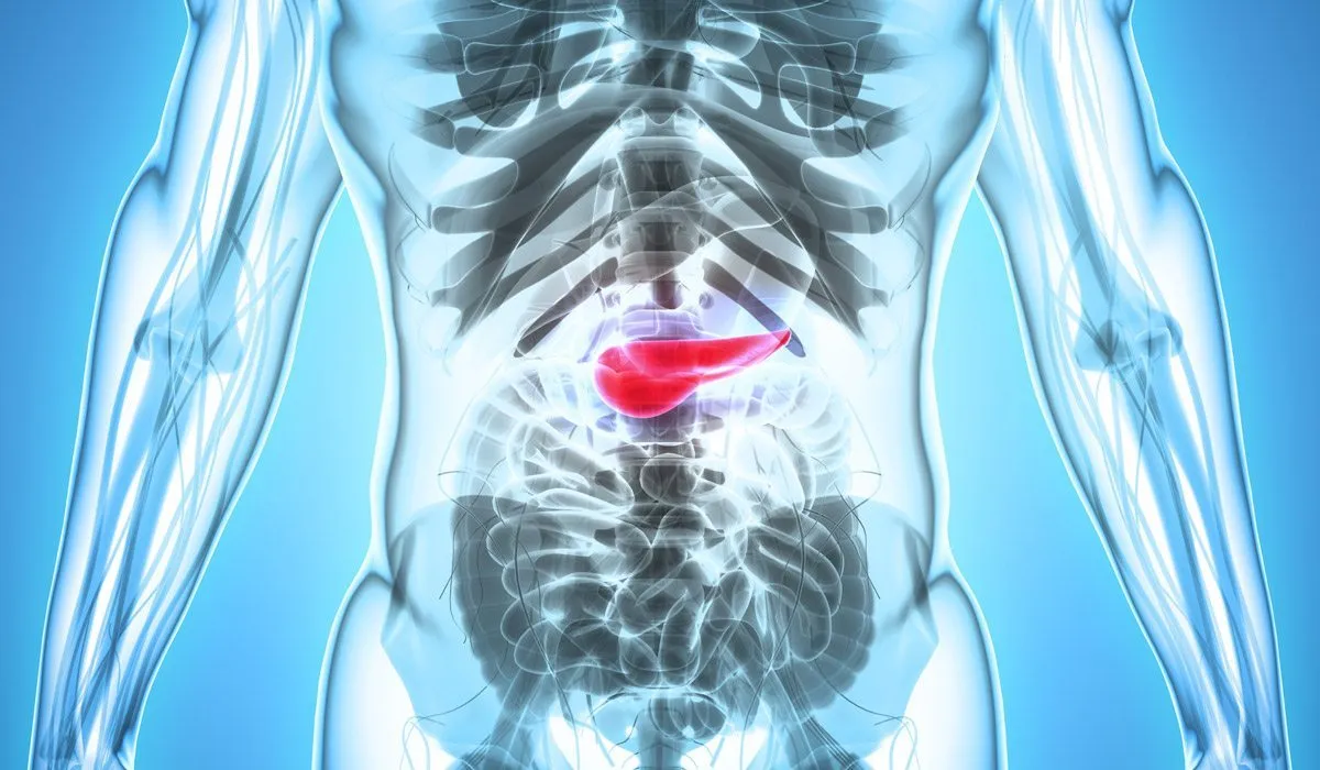 cáncer de páncreas enemigo invencible
