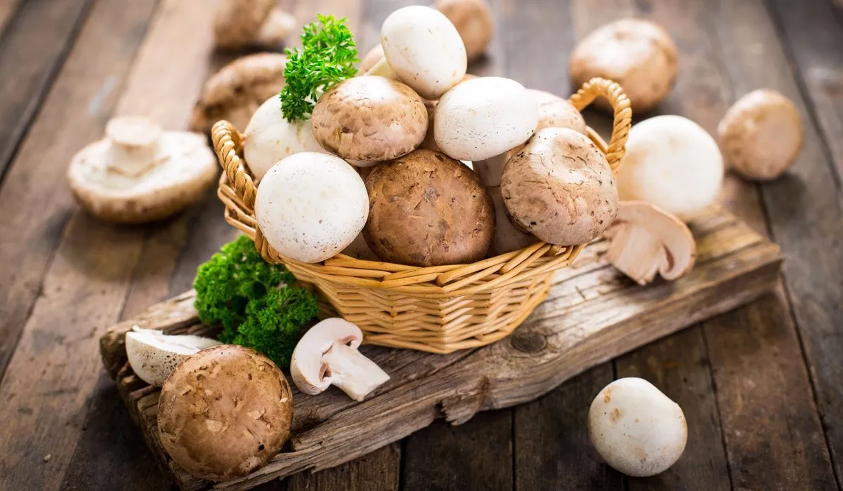 Ingredientes naturales que ayudan contra el cáncer