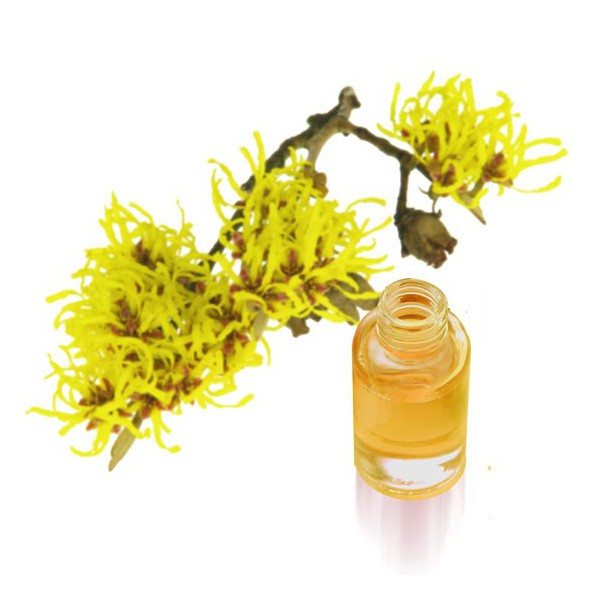 hamamelis