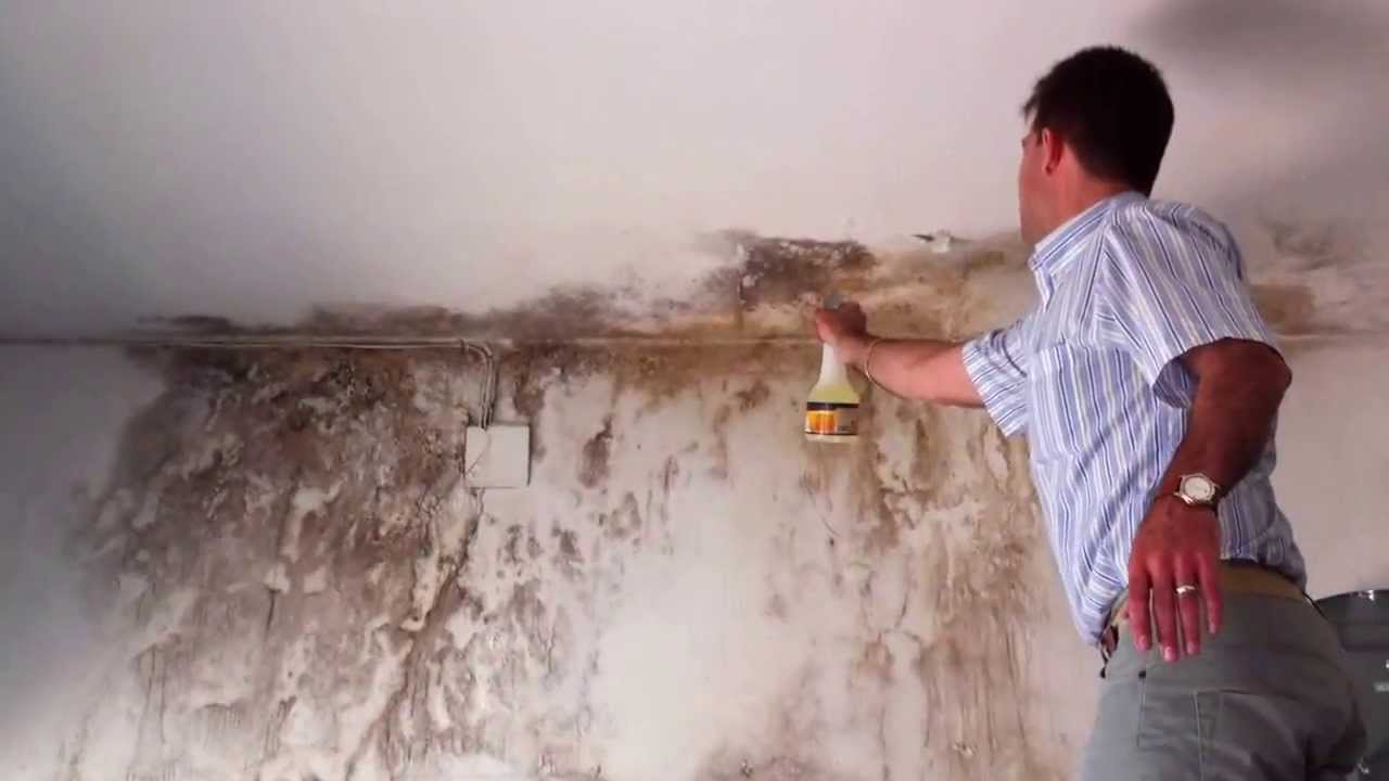 Qué hacer para mitigar la humedad en paredes