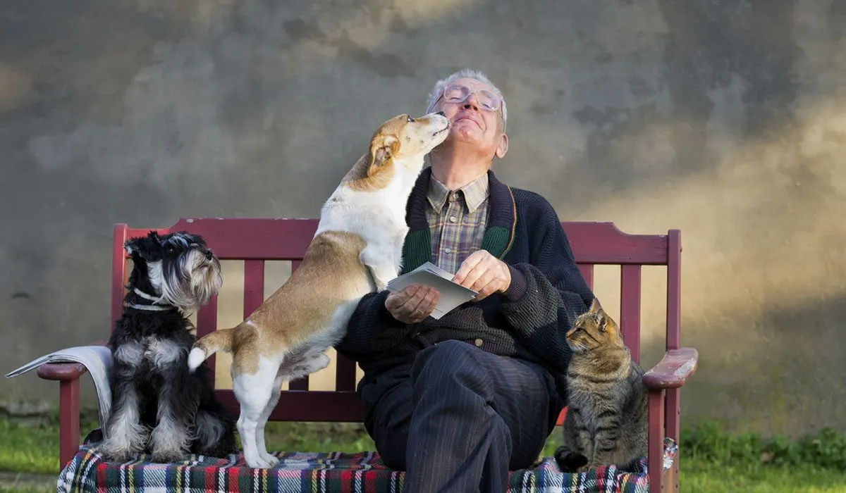 remedios para usar con tu mascota