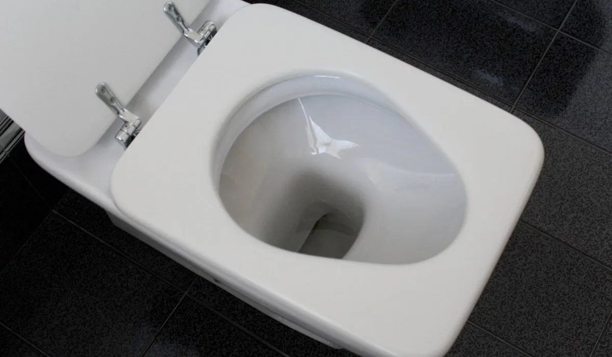 ¿en dónde tirar el papel de baño?