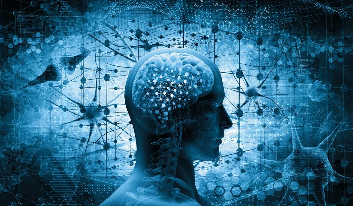 9 datos asombrosos del cerebro