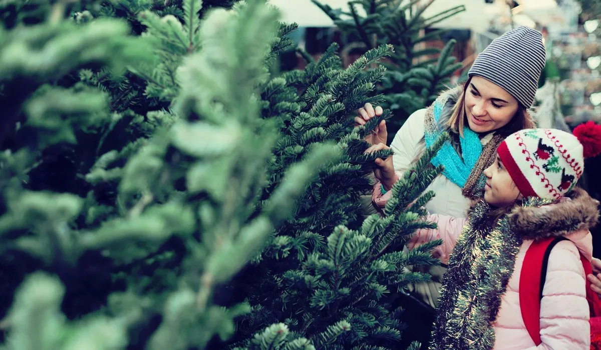 secretos de tu árbol de Navidad