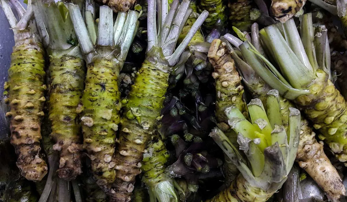 Comida sabrosa y que al mismo tiempo beneficiará a tu cerebro
