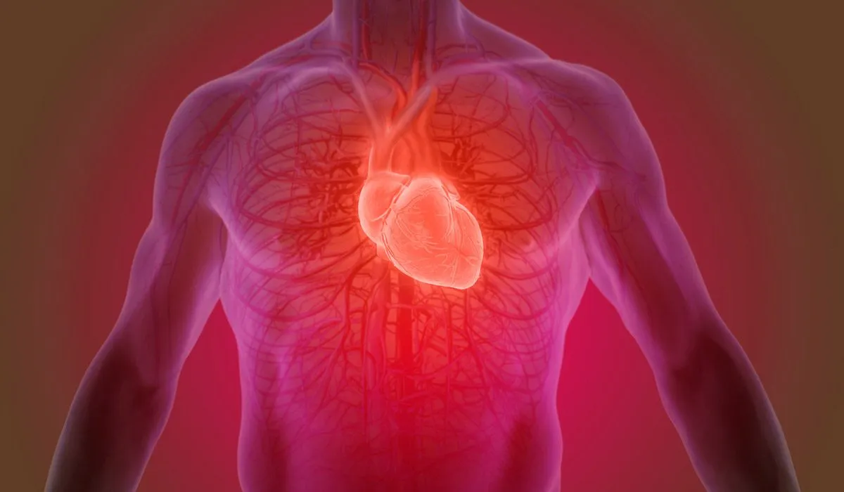 señales de que podrías tener un soplo cardiaco