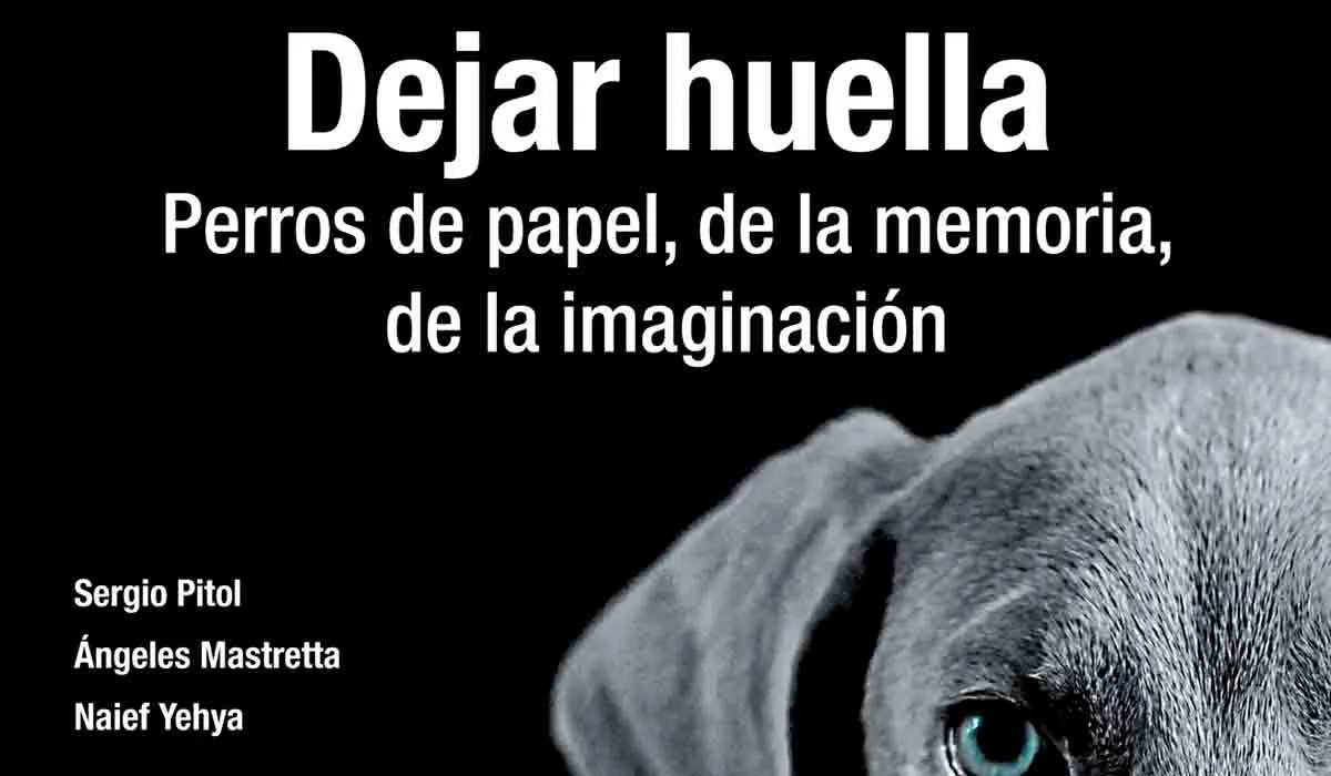Rincón de la lectura: Los mejores amigos