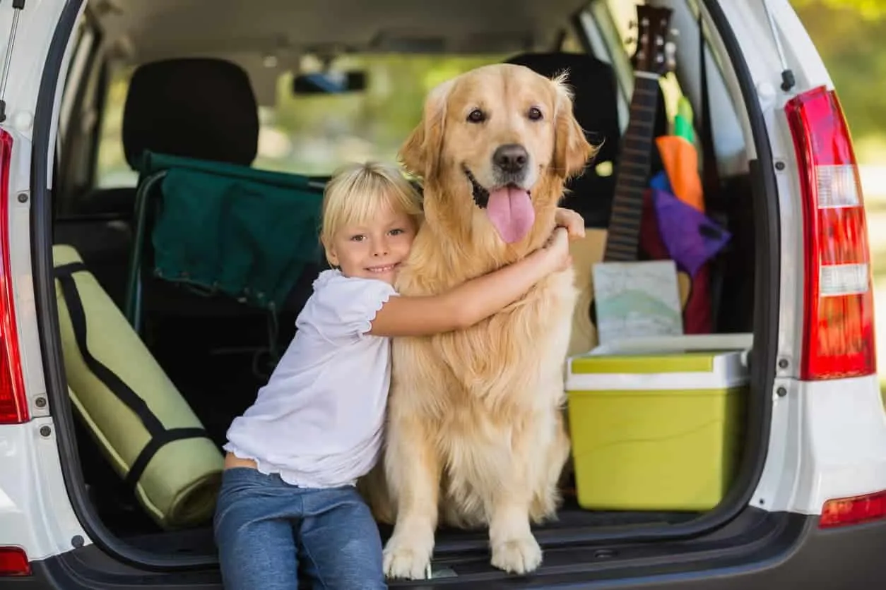 Consejos para salir de viaje con animales