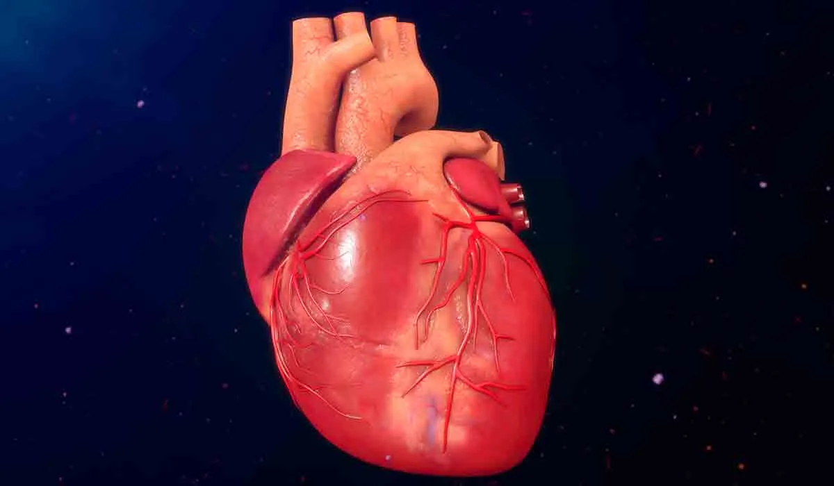 Si fuera posible, ¿te gustaría tener tu corazón en las manos?
