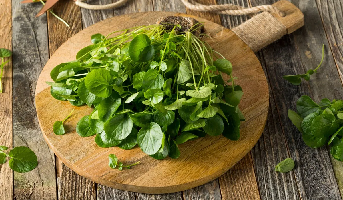 receta nutritiva de berros