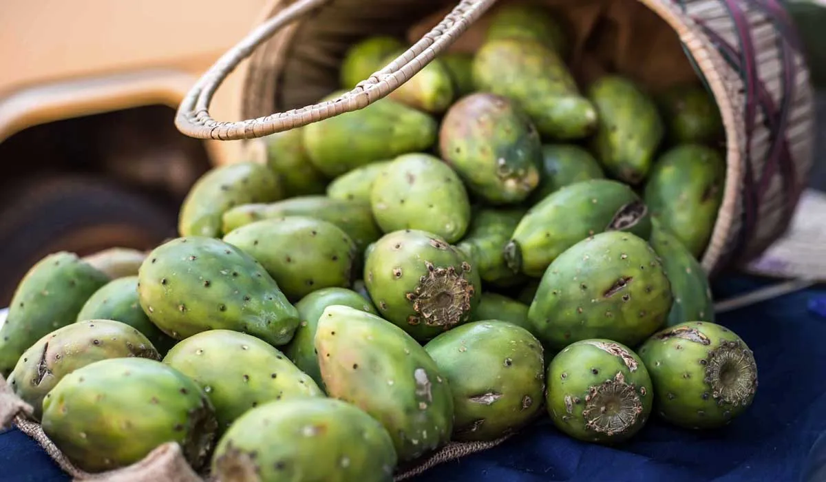 descubre los beneficios de la tuna