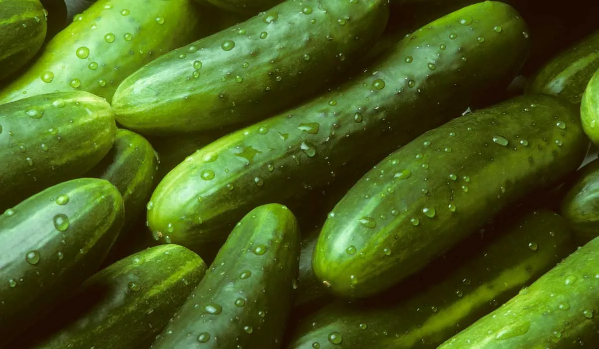 Conoce todos los beneficios del pepino en tu salud