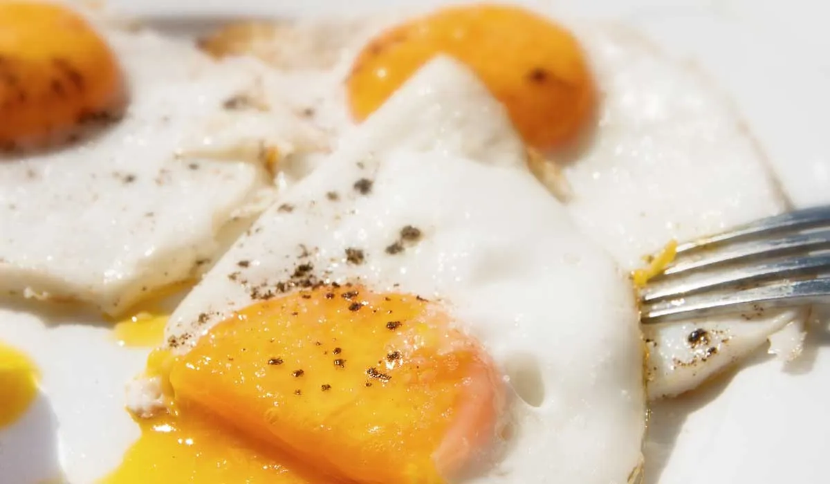 comer huevo no eleva el colesterol