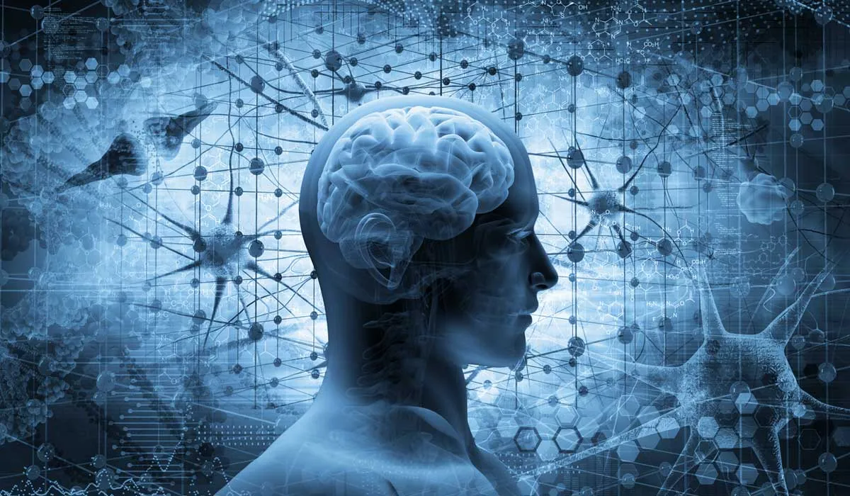 El asombroso cerebro humano