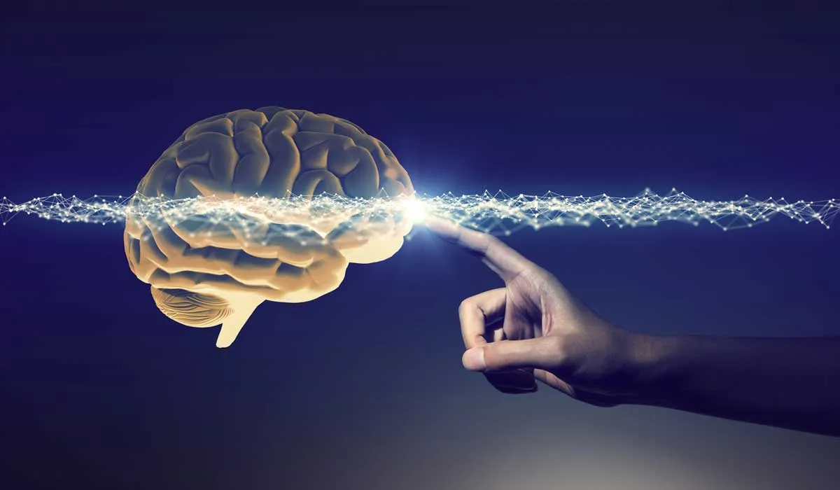 No creas estos tres mitos sobre el cerebro
