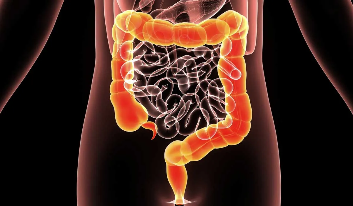 El cáncer de colon sí se puede prevenir. ¡Comunícate y haz tu cita!