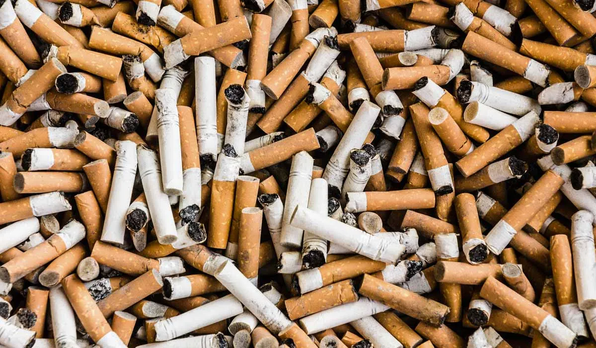 El mar se contamina más por los cigarros que por los popotes