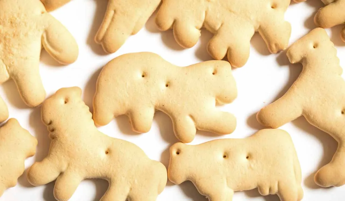 curiosidades sobre las galletas de animalitos