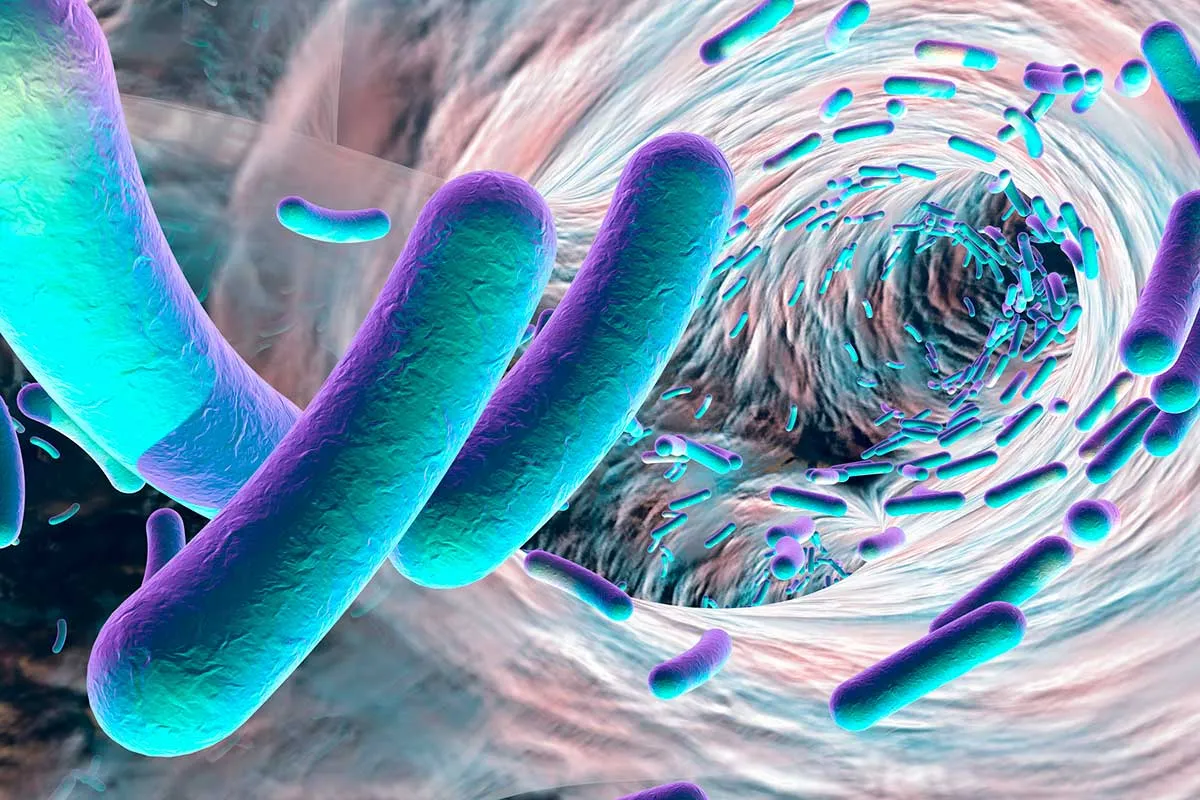 Conoce los ‘bichos’ que habitan tu cuerpo
