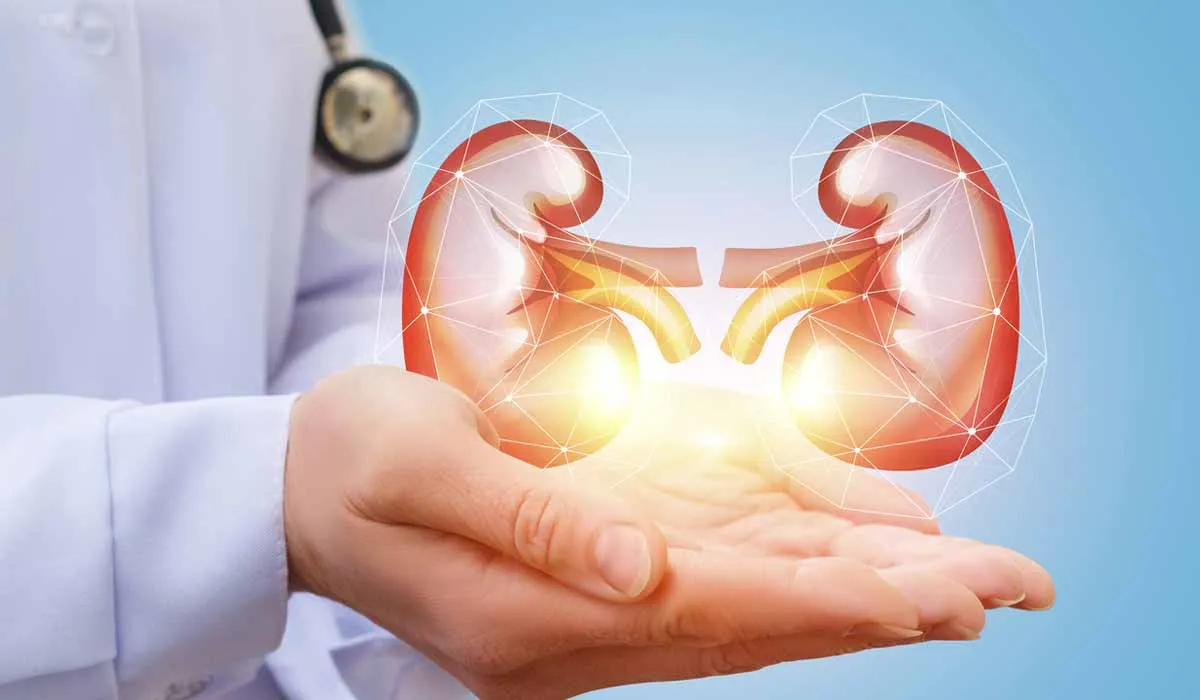 vigila tus riñones con la diabetes