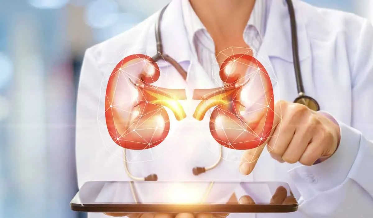 5 miedos o mitos que enfrenta un donador renal