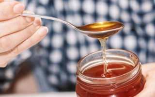conoce más sobre la miel
