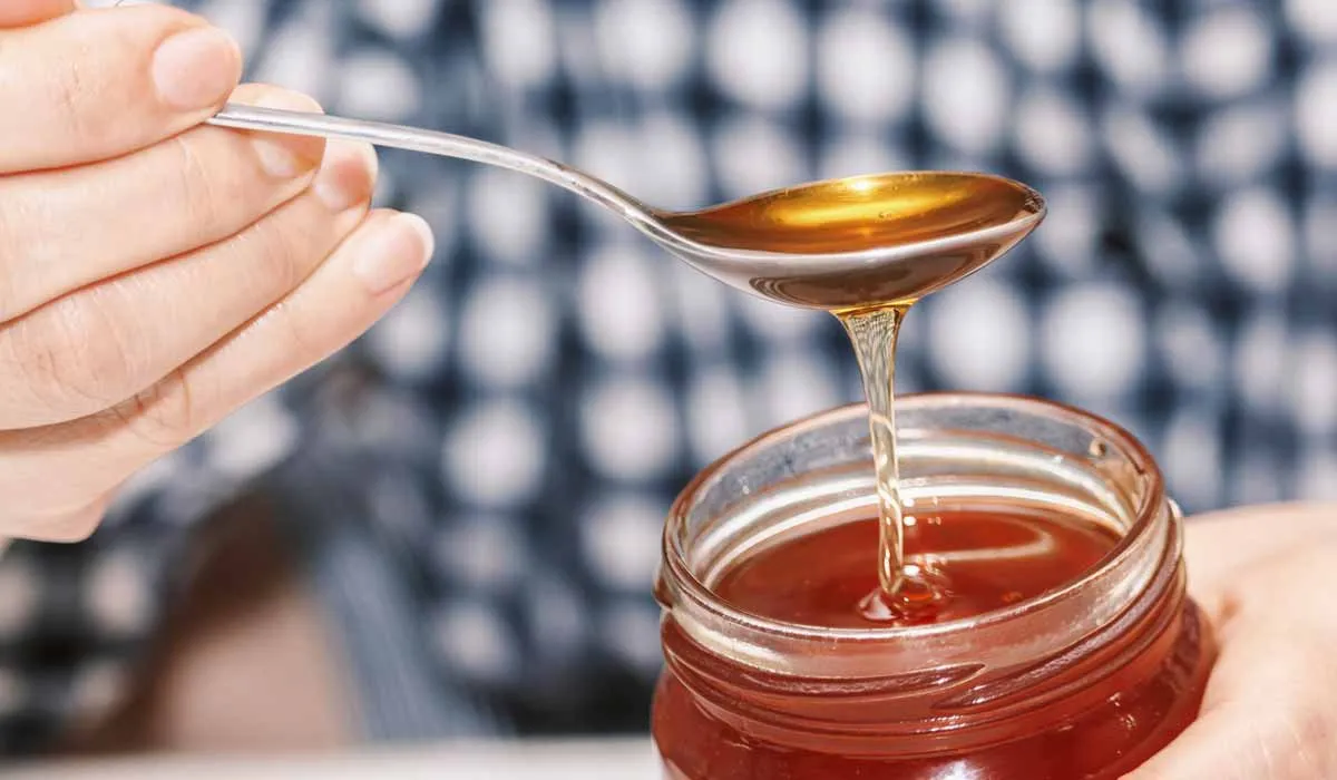 conoce más sobre la miel