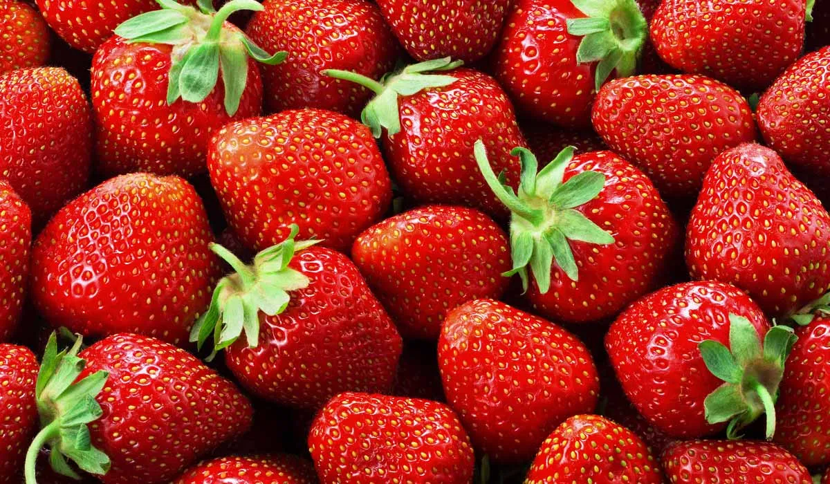 por esto debes desinfecta bien tus fresas