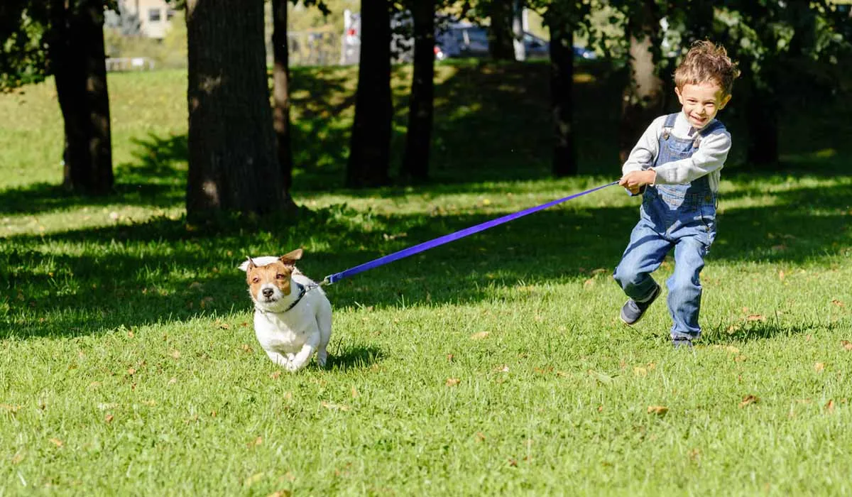 Déjalo tener un perro: 7 beneficios de la interacción entre niños y perros