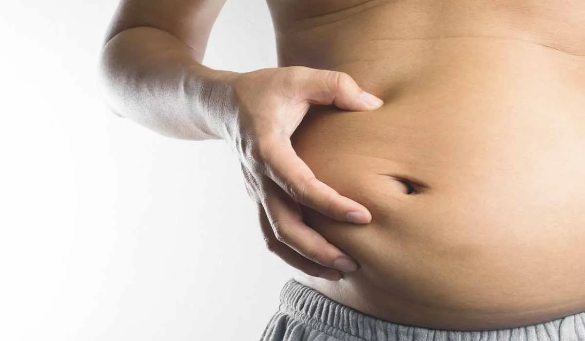 la grasa abdominal podría hacerle mal a tu cerebro