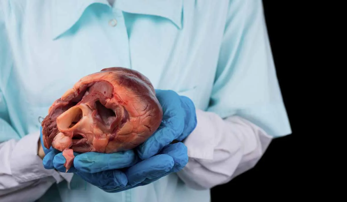 Dona tu cuerpo a la ciencia, te decimos los pasos para inscribirte