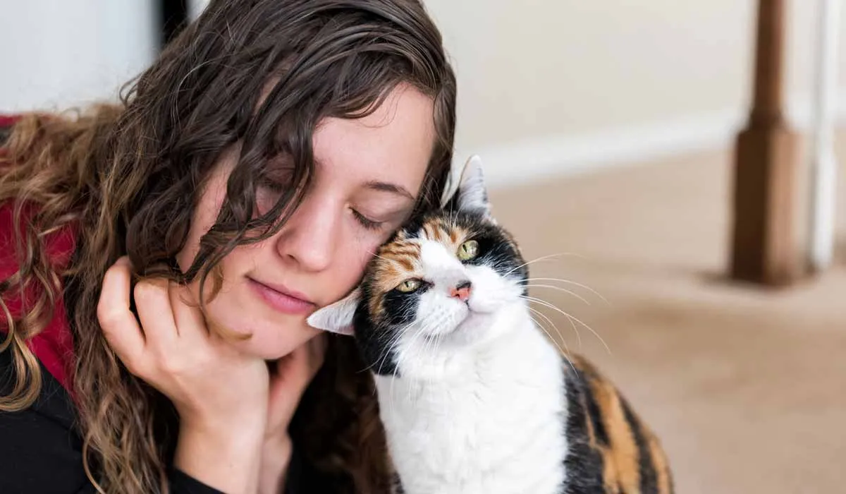 Si se atraviesa un gato en tu vida, esto te interesa