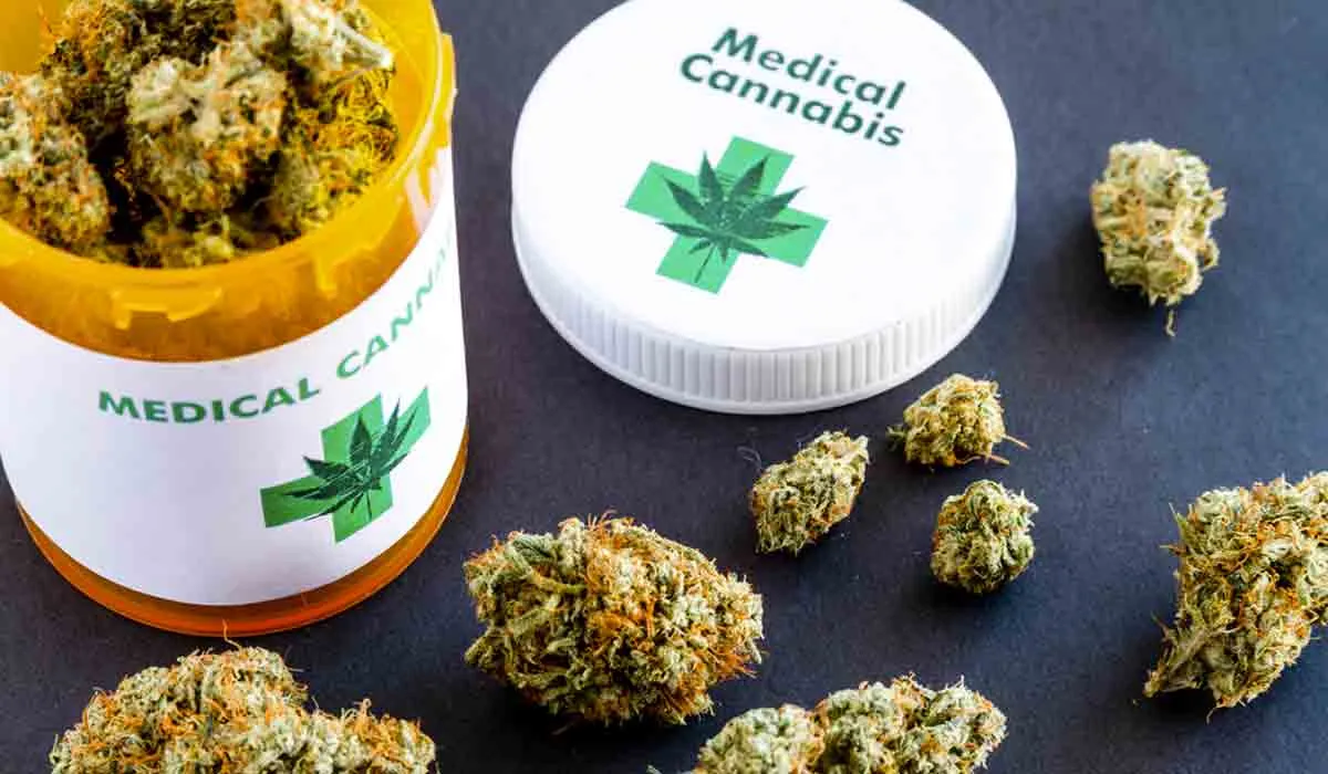Histórico: Inicia en México la industria cannábica