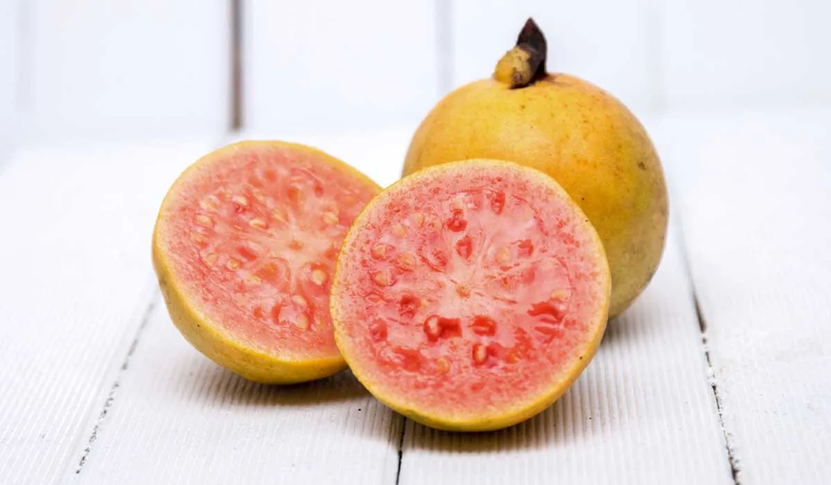 beneficios y bondades de la guayaba