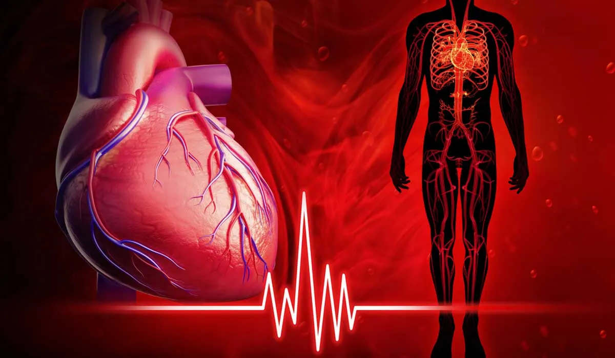7 datos curiosos sobre el corazón
