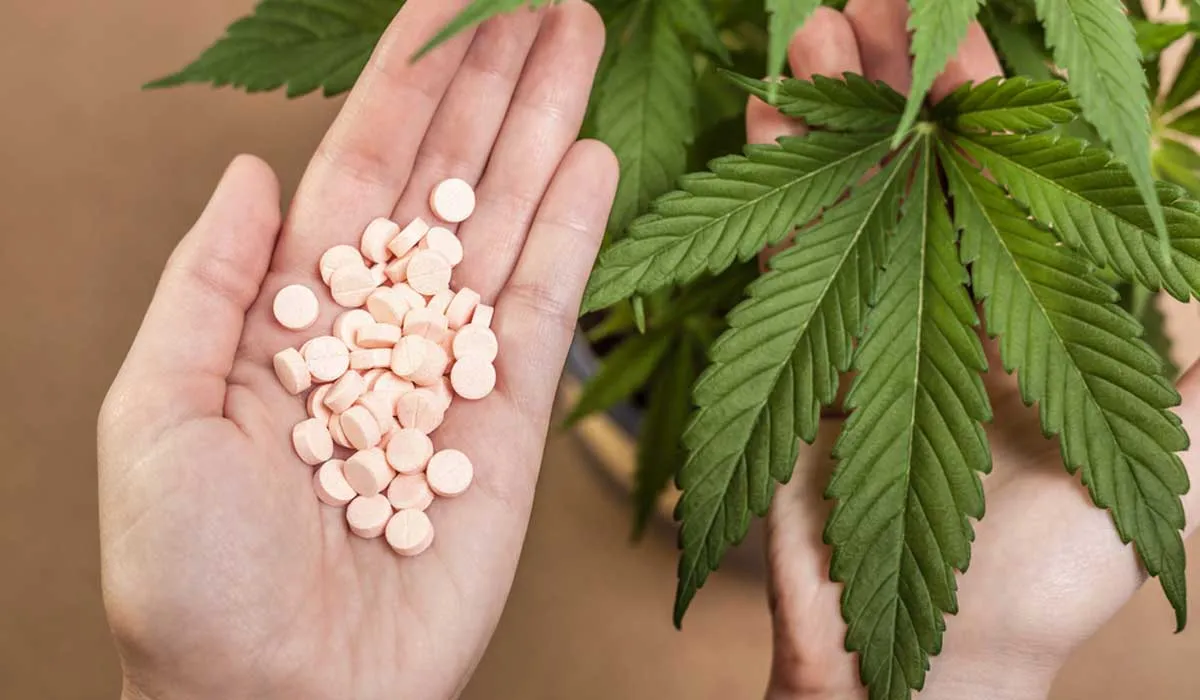 Nace la Asociación de la Industria del Cannabis en México