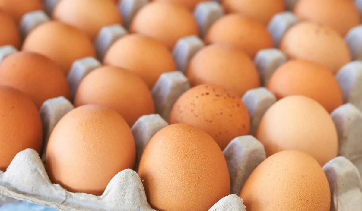 huevo contra la diabetes