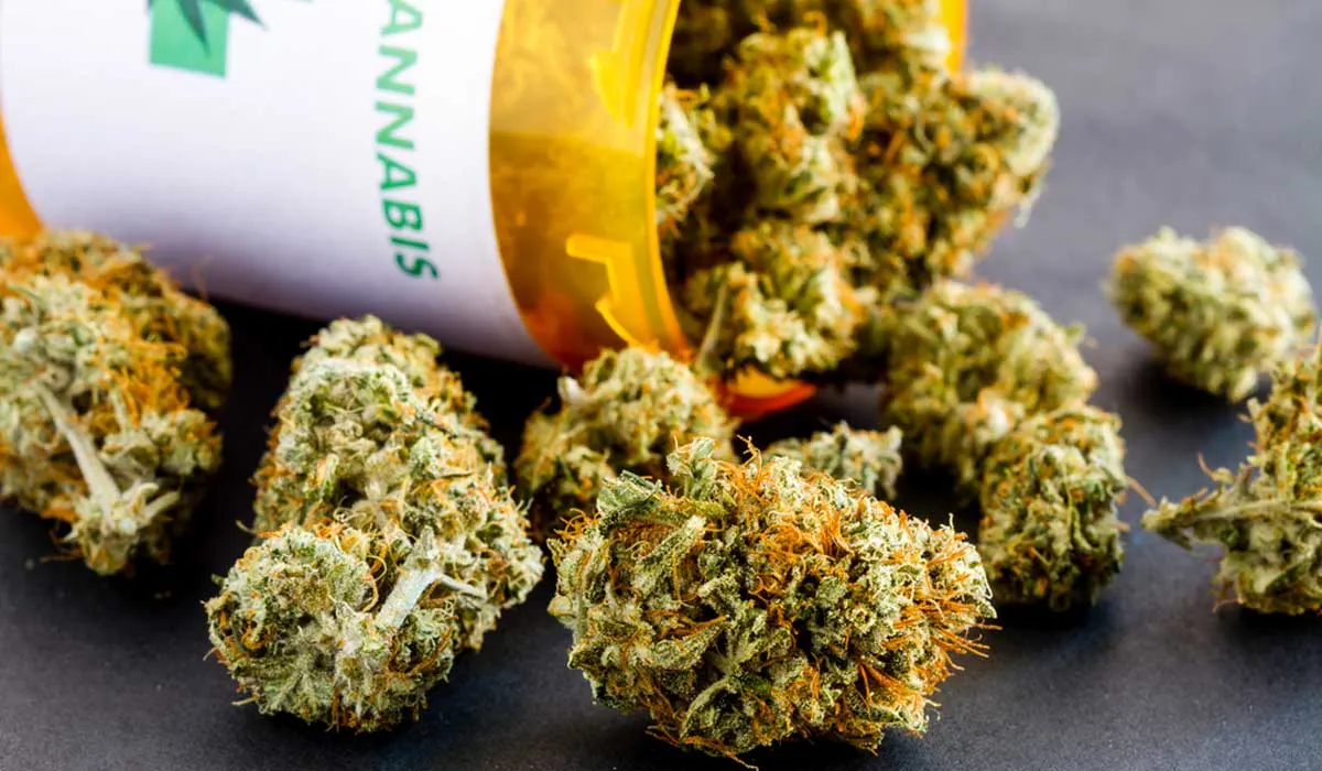 Marihuana ayudaría en lesiones de médula ósea y craneal