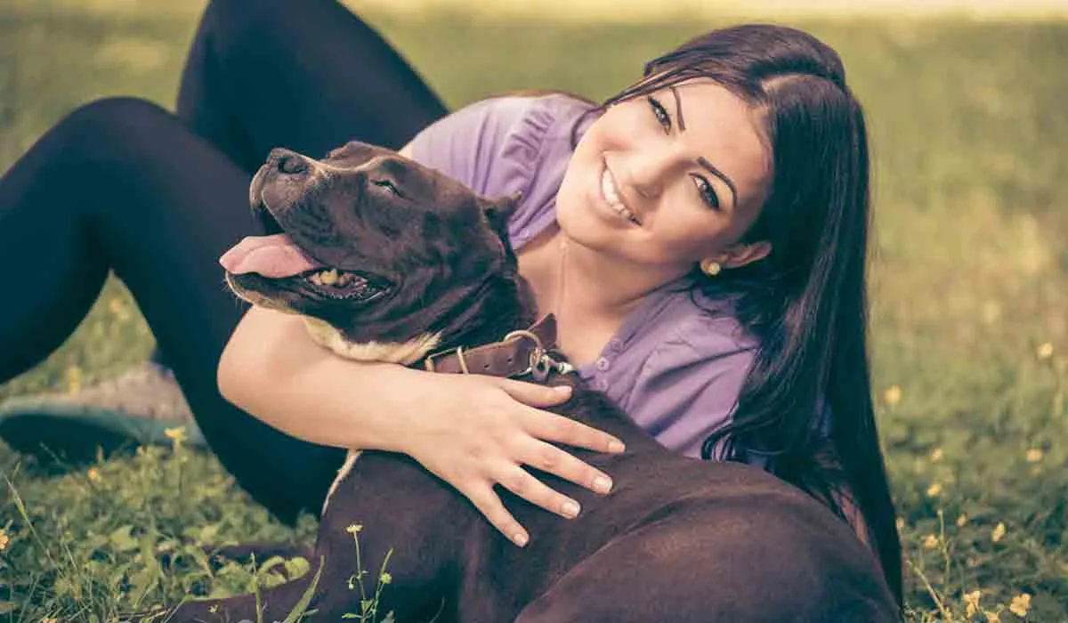 cómo quitar los pelos de los perros