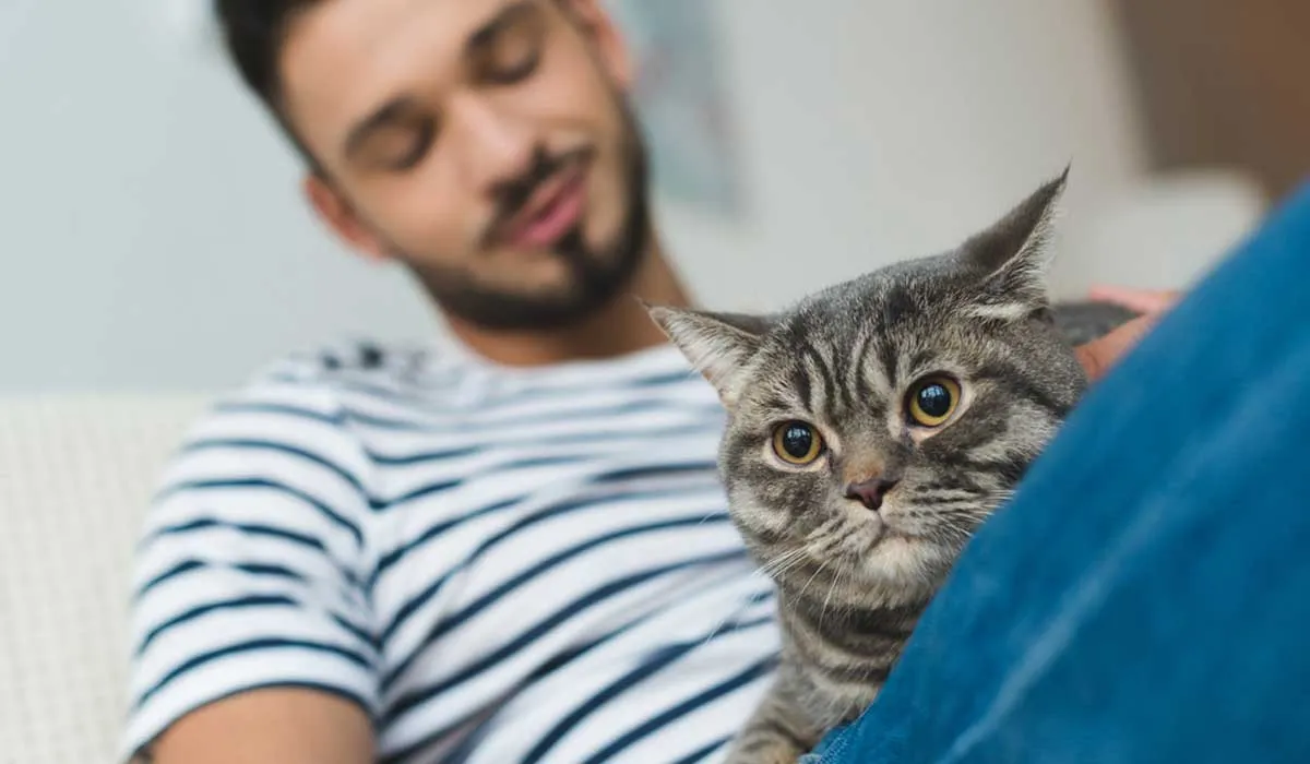 Gatos ganan más adeptos entre los amantes de animales