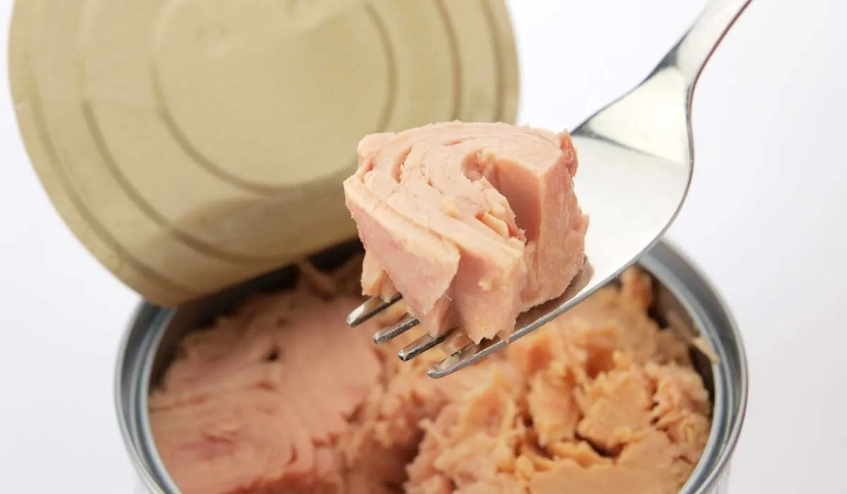 latas de atún que son más soya