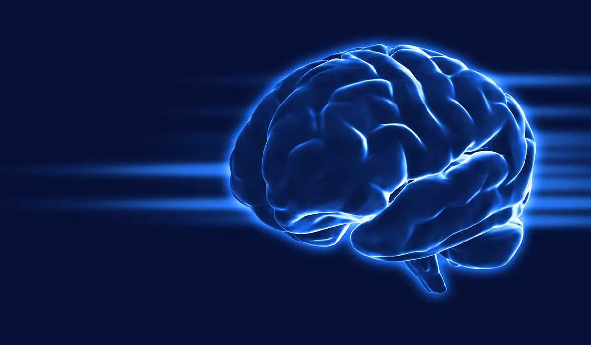 ejercicios para tu cerebro