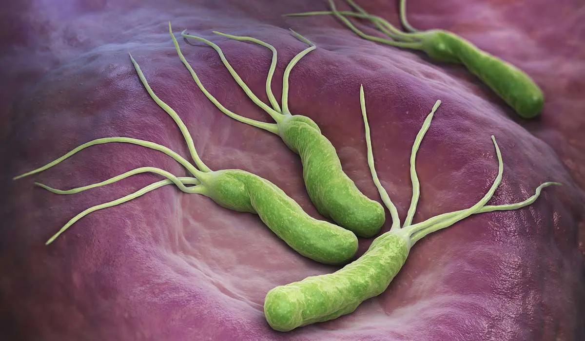 cuidado con esta peligrosa bacteria