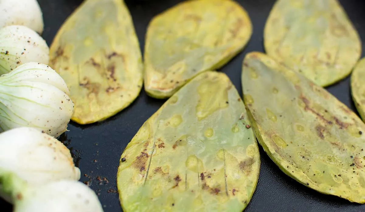 disfruta de los beneficios del nopal