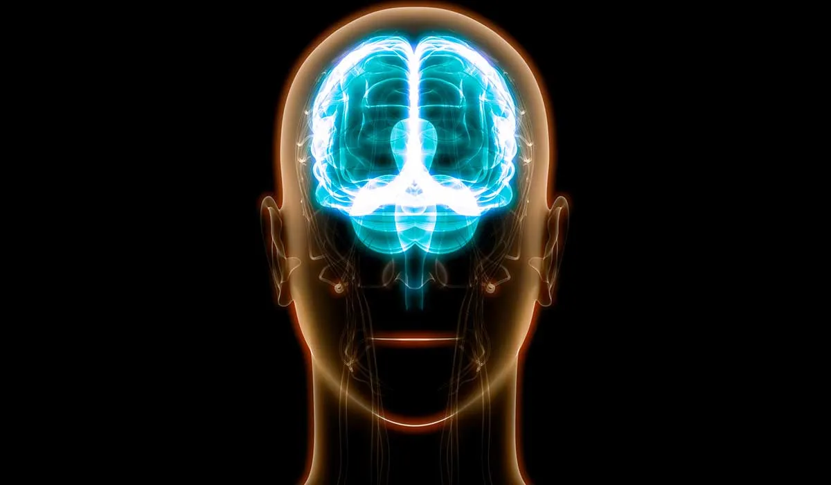 conoce cómo tener un cerebro más agudo